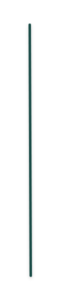 Time line