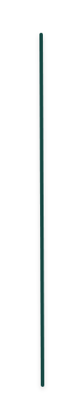 Time line