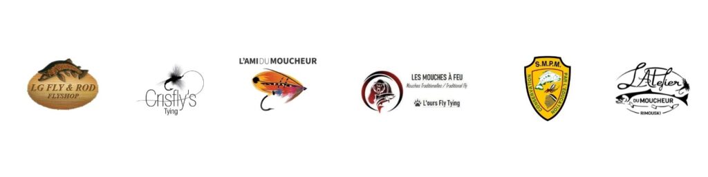 _Bannière infolettre tirage de la boîte de mouches (1)