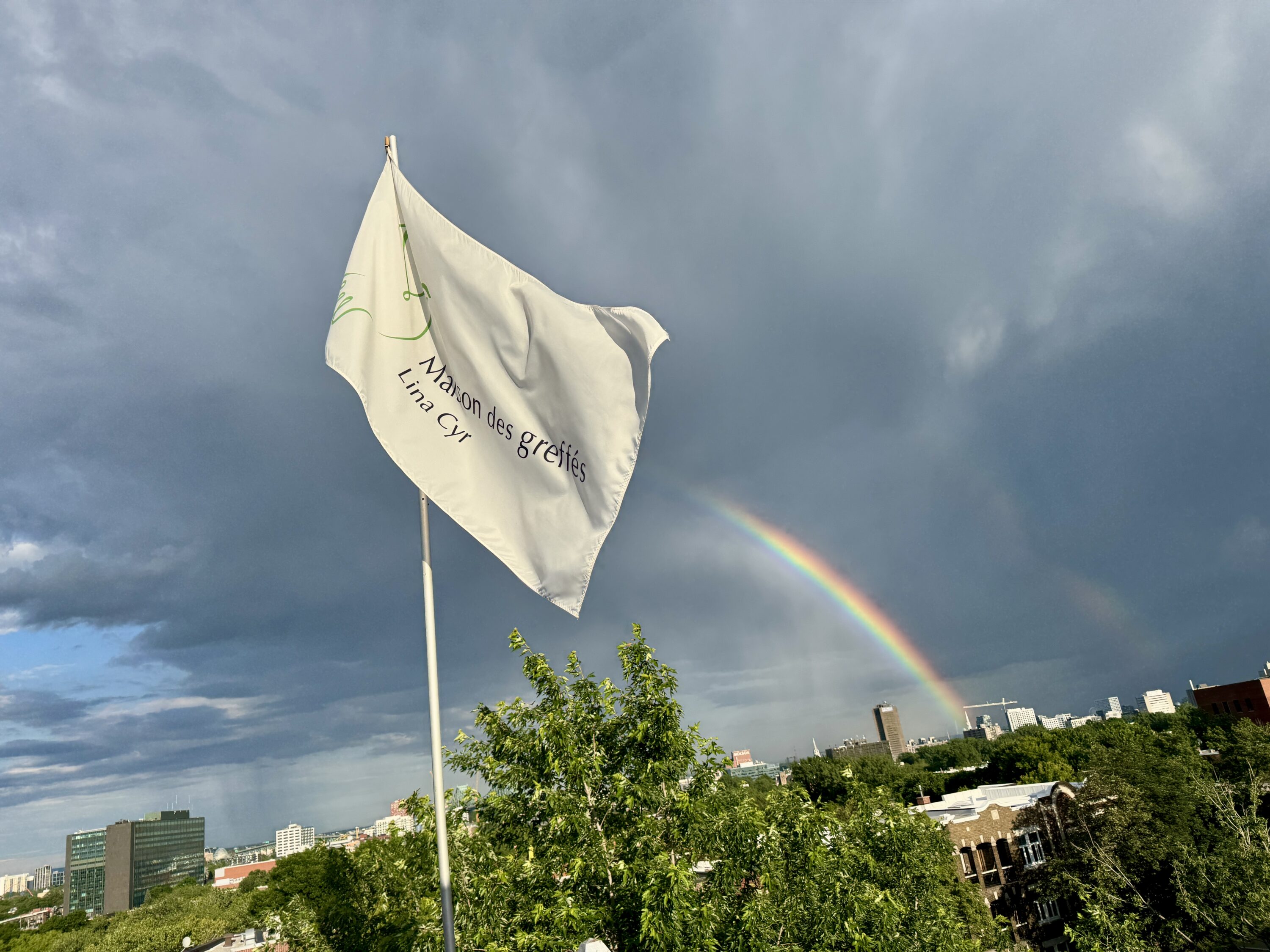 Arc en ciel